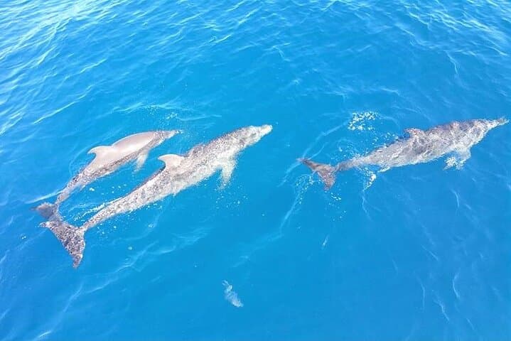 Explore Fort Lauderdale’s Waterways: A 4-Hour Sailing Charter Experience photo 4