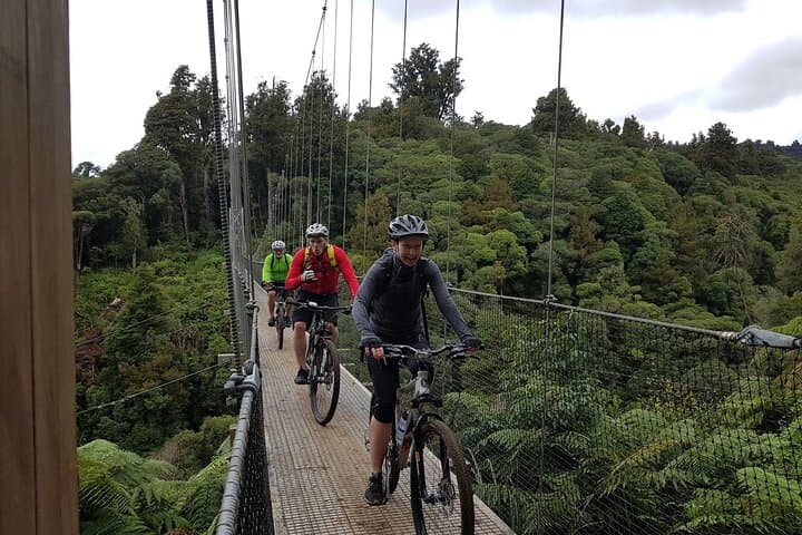 Timber Trail Ongarue to Pureora: 2-Day Shuttle & Bike Hire Guide photo 2