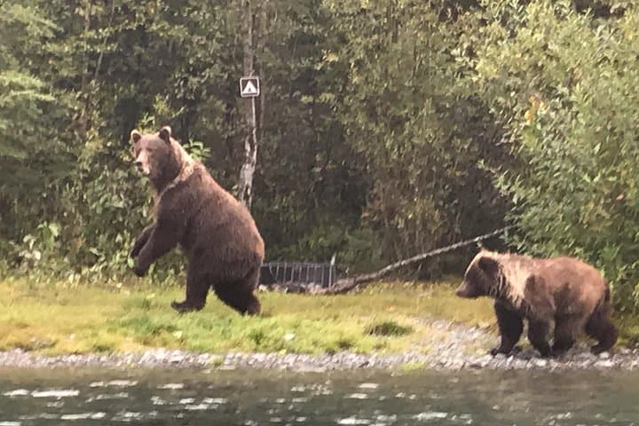 Full-Day Kenai River Drift-Boat Fishing — Soldotna Fly & Spin Trips photo 5
