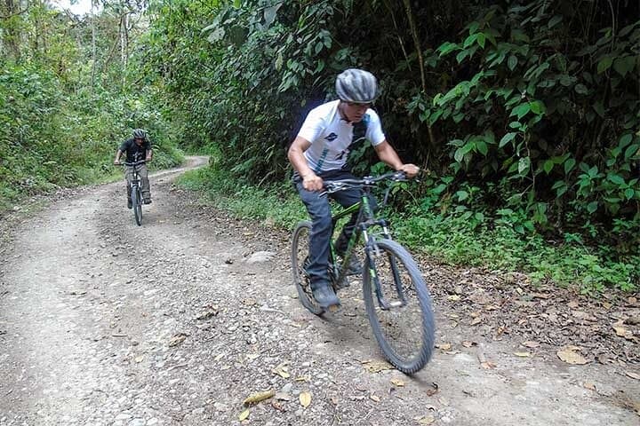 Full-Day Mountain Biking Adventure from Nono to Mindo Cloud Forest photo 6