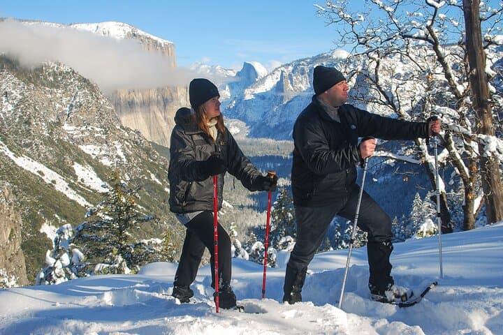 Private Guided Snowshoe Hike in Yosemite: Winter Trails, Wildlife & Photo Views