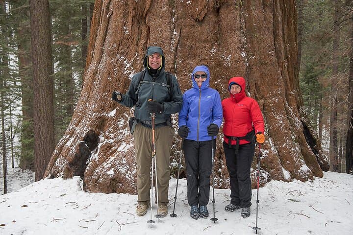 Private Guided Snowshoe Hike in Yosemite: Winter Trails, Wildlife & Photo Views photo 4