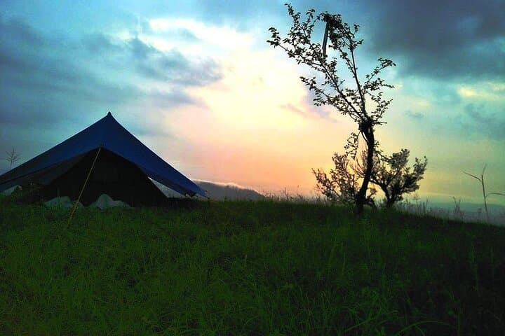 Rakh Village Nature Trek from Dharamshala — Dhauladhar Deodar Trail photo 3