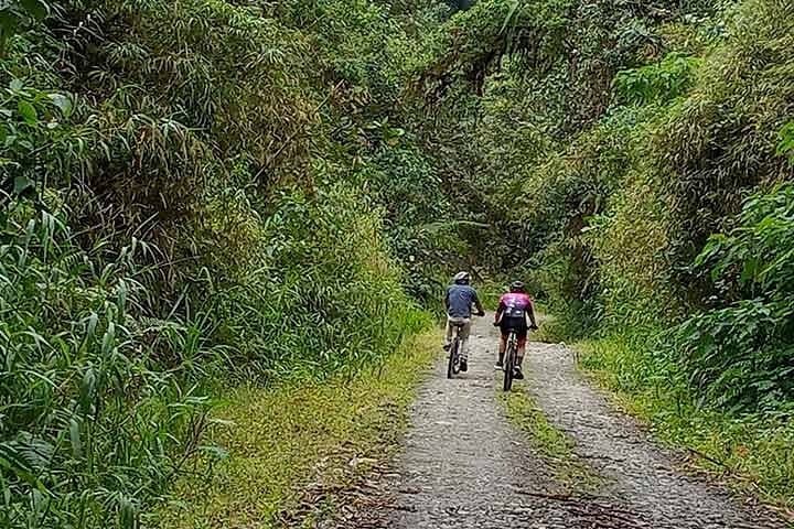 Full-Day Mountain Biking Adventure from Nono to Mindo Cloud Forest photo 4