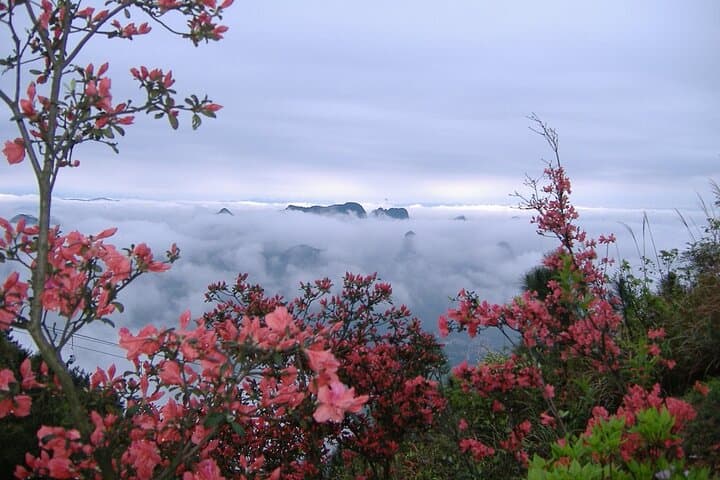 Yao Mountain Chairlift and Guilin Tea Plantation Private Tour photo 3