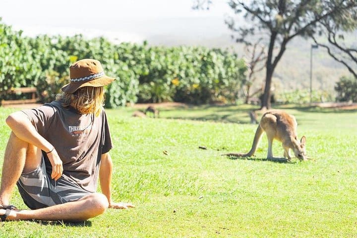 North Stradbroke Island Day Trip from Brisbane — Catamaran Cruise, Coastal Walks & Wildlife photo 2