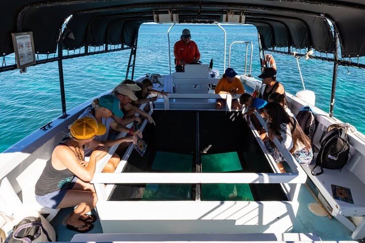Explore Hawaii’s Underwater World: Glass-Bottom Boat Cruise from Waikoloa photo 3