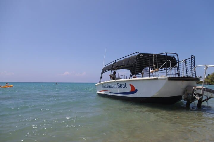 Explore Hawaii’s Underwater World: Glass-Bottom Boat Cruise from Waikoloa photo 5