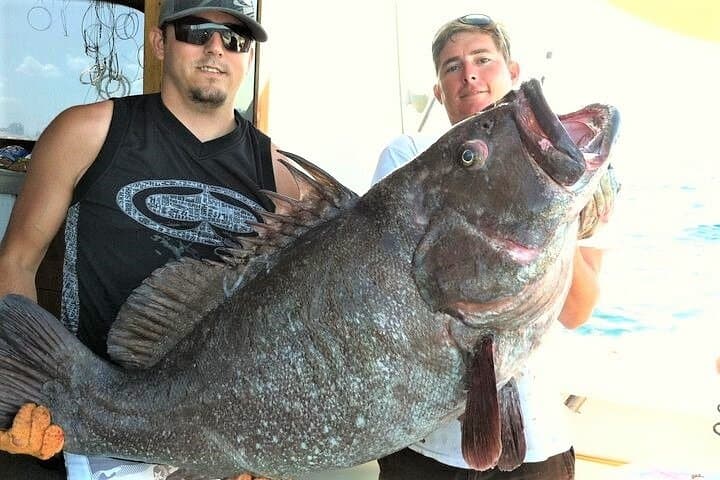Big Game Deep Sea Fishing from Fort Lauderdale: A 4-Hour Atlantic Adventure photo 6