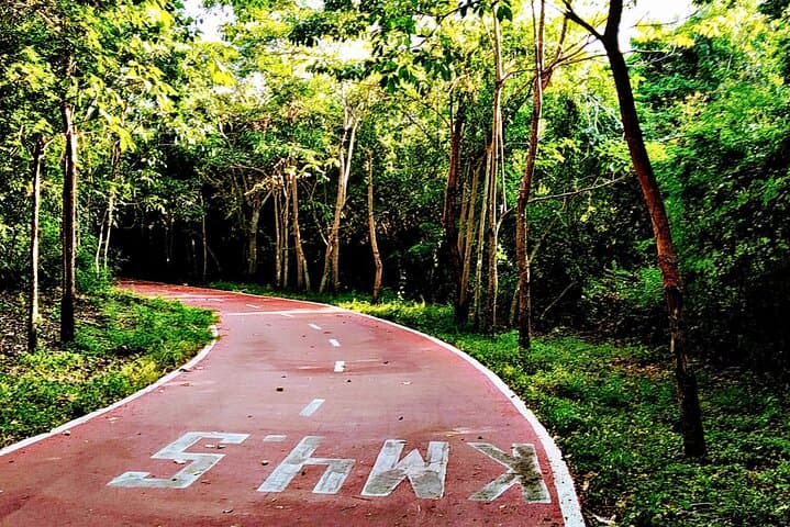 Ixtapa Bike Tour: Coastal Cyclepath, Marina & Playa Linda in 3 Hours photo 2