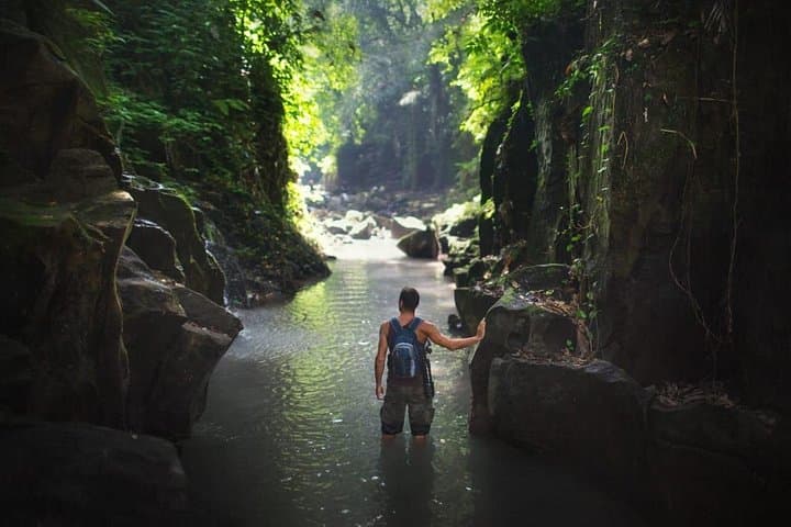 7-Day Osa Peninsula Adventure: Corcovado, Cano Island & Drake Bay Wildlife photo 1