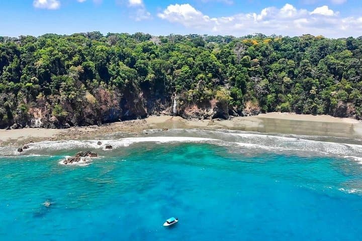 7-Day Osa Peninsula Adventure: Corcovado, Cano Island & Drake Bay Wildlife photo 3
