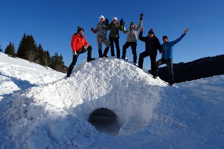 Build an Igloo in the French Alps: Guided Snowshoe & Pulka Adventure in the Tarentaise Valley