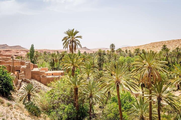 Figuig The Lost Oasis Private Luxury Tour — Explore Morocco’s Seven Ksour & Palm Groves photo 5