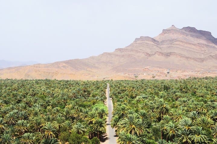 Figuig The Lost Oasis Private Luxury Tour — Explore Morocco’s Seven Ksour & Palm Groves photo 4
