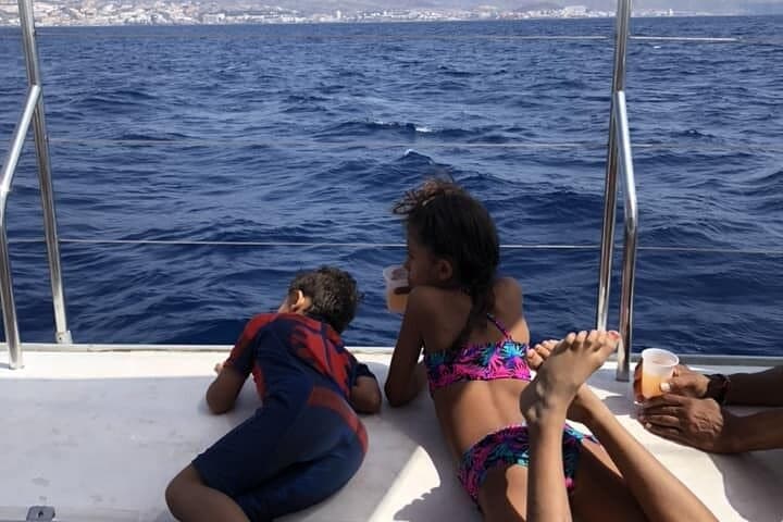 Luxury 3-Hour Catamaran Whale and Dolphin Charter in Tenerife photo 4