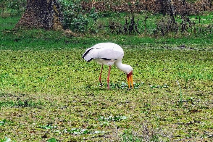 2-Day Private Safari to Lake Nakuru & Hell's Gate — Bike, Boat and Game Drives photo 2
