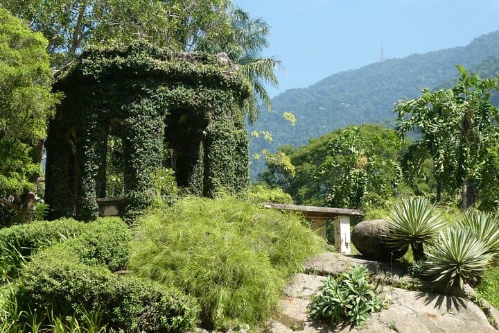 Tijuca Forest & Jardim Botânico: Rio's Urban Wilds and Hidden Treasures photo 6