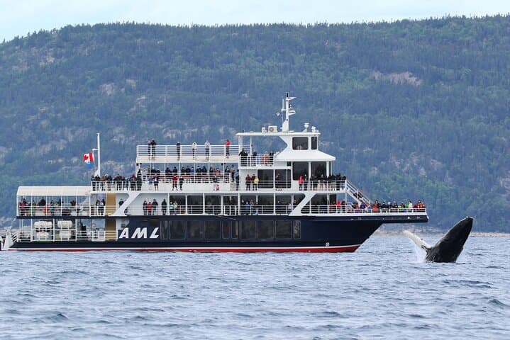 Québec City Whale Watching: Full-Day Saguenay–St. Lawrence Cruise & Zodiac photo 2
