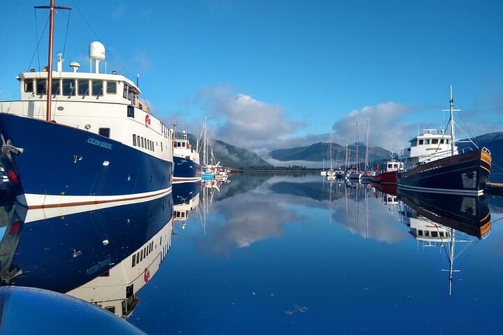 Shipwreck Hunters: MV Captayannis Clyde Wreck Boat Tour photo 6