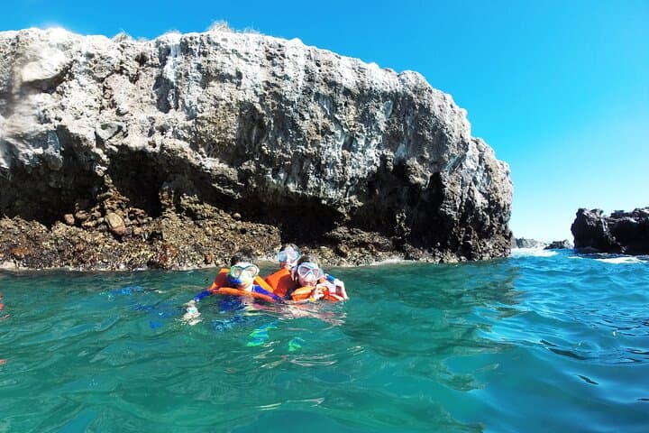 Snorkel the Marietas Islands & Visit the Hidden Beach — Small-Group Ecotour from Puerto Vallarta photo 5