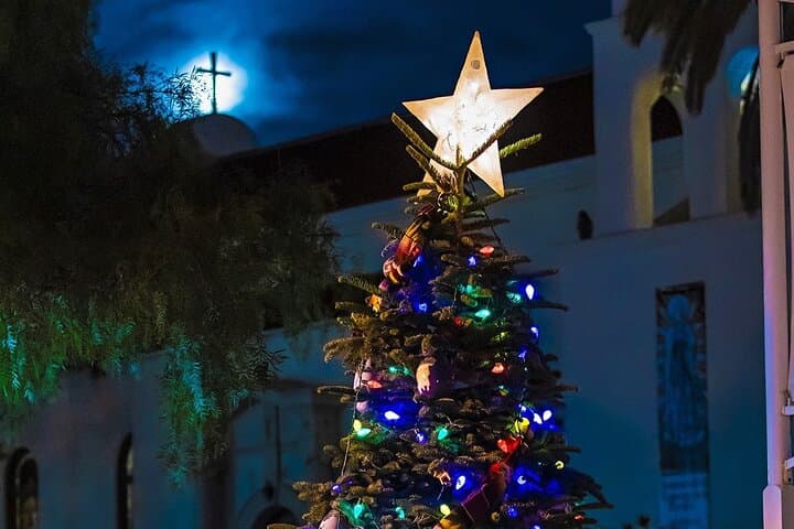 Experience Savannah’s Holiday Magic: Festive Nights and Historic Sights Trolley Tour photo 2