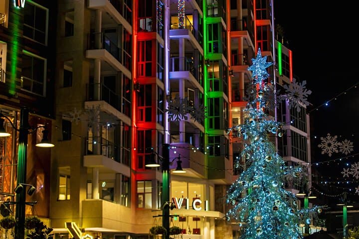 Experience Savannah’s Holiday Magic: Festive Nights and Historic Sights Trolley Tour photo 3
