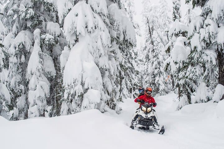 Whistler Wilderness Run — Backcountry Snowmobile Tour in British Columbia photo 6