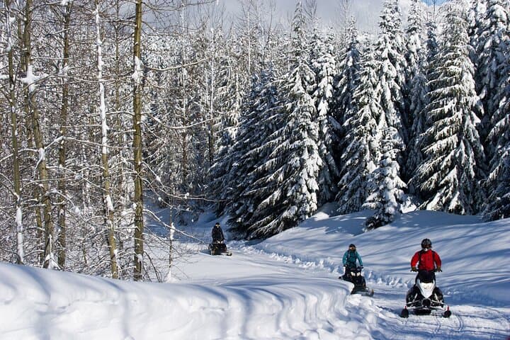 Explore Callaghan Valley: Beginner-Friendly Snowmobile Tour to NorthAir Goldmine photo 4