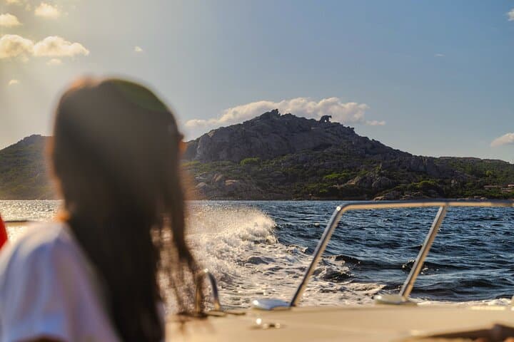 Private Lake Maggiore Cruise: Borromean Islands Sightseeing from Stresa photo 6