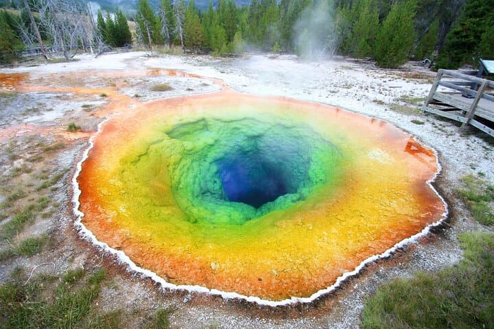 Yellowstone & Grand Teton Winter Tour: 5-Day Snowcoach, Snowshoe & Hot Springs Adventure photo 6