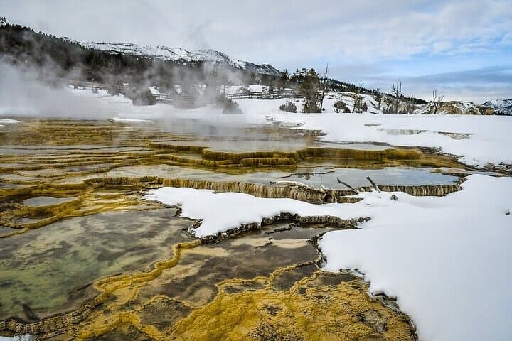 Yellowstone & Grand Teton Winter Tour: 5-Day Snowcoach, Snowshoe & Hot Springs Adventure photo 5