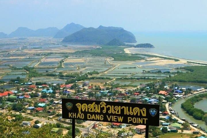 Pranburi Mangrove Hike & Pran River Boat with Khao Daeng Viewpoint — Day Tour from Hua Hin