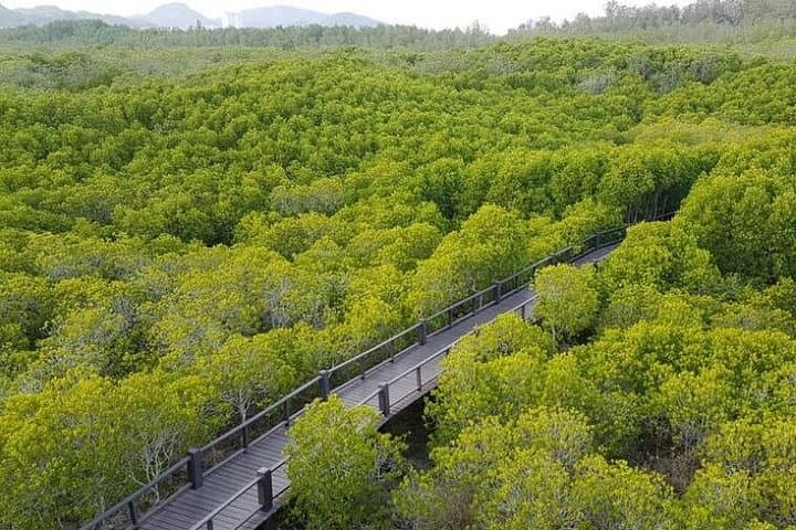 Pranburi Mangrove Hike & Pran River Boat with Khao Daeng Viewpoint — Day Tour from Hua Hin photo 2