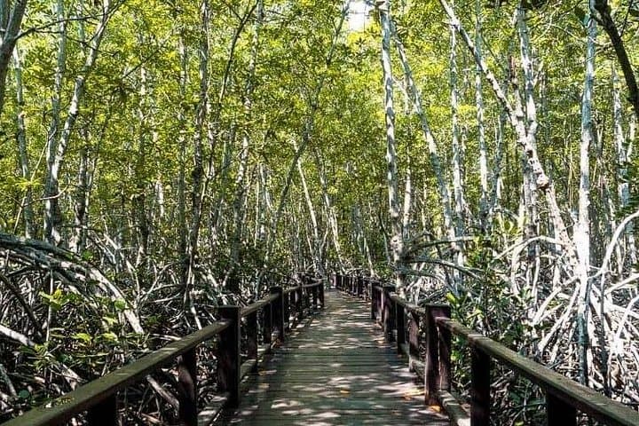 Pranburi Mangrove Hike & Pran River Boat with Khao Daeng Viewpoint — Day Tour from Hua Hin photo 3