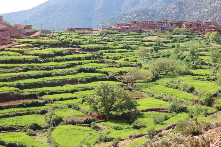 Follow the Clintons' Footsteps to the Atlas Mountains — Private Luxury Trek from Marrakech photo 3