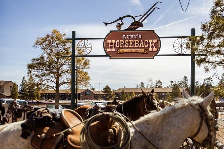 Ruby's Horseback Adventures: 1.5‑Hour Guided Horseback Ride Near Bryce Canyon