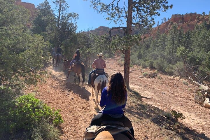 Half-Day Horseback Ride Through Red Canyon Hoodoos — Ruby's Horseback Adventures photo 5