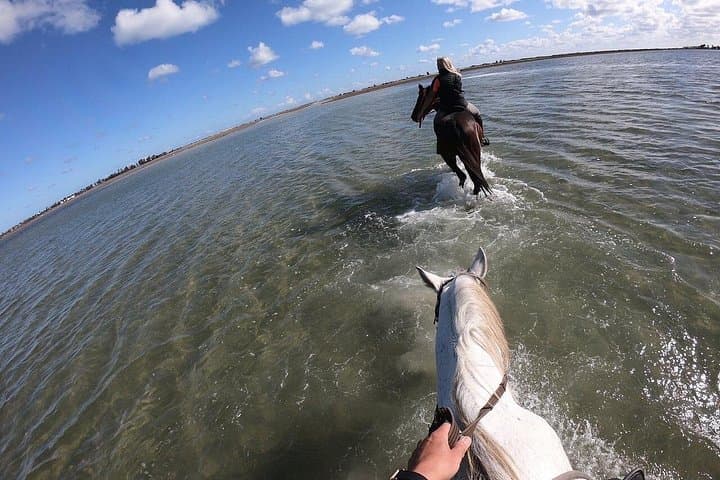 Djerba Discovery Ride: 2.5-Hour Horse & Camel Trek to the Lagoon photo 4