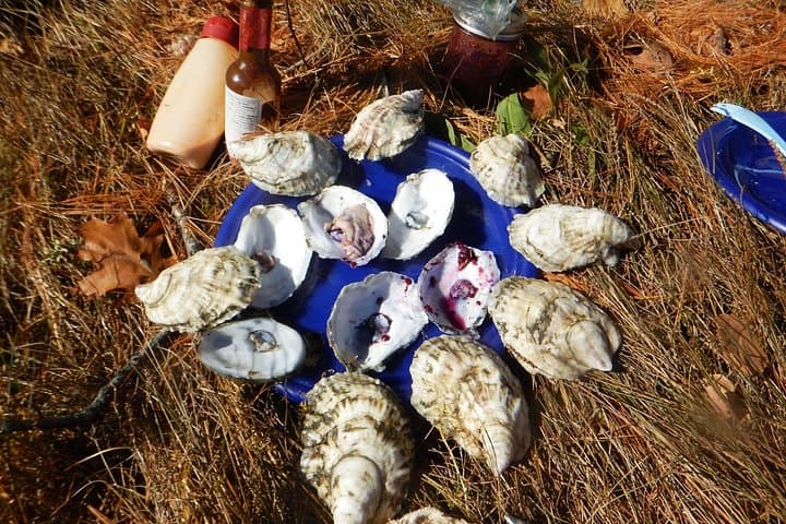 Casco Bay Oyster Farm Sea Kayak Tour — Kayak, Shuck & Taste in Brunswick, ME