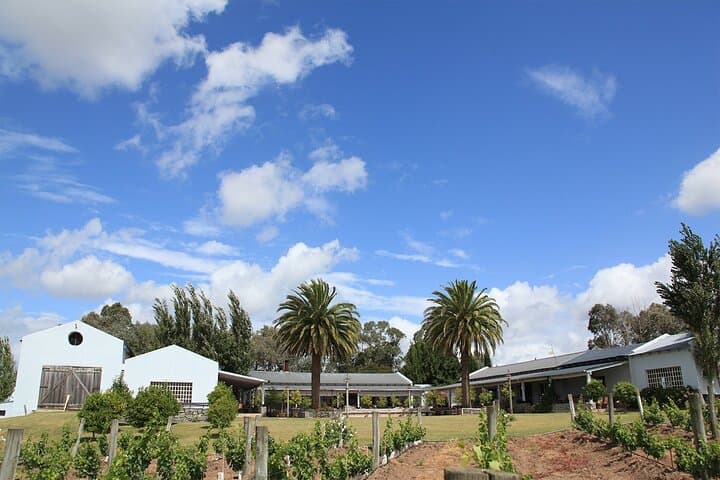 Punta del Este Wine Tour: Small-Group Tannat Tasting & Lunch at La Barra Vineyard photo 4