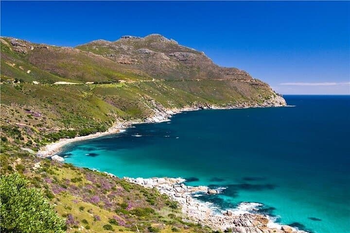 Private Cape Point & Peninsula Full-Day Tour — Avoid Crowds, See Penguins & Coastal Views photo 3