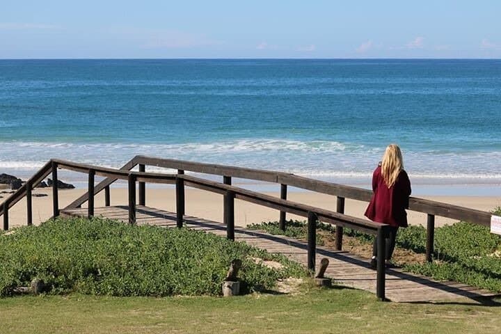 Private Cape Point & Peninsula Full-Day Tour — Avoid Crowds, See Penguins & Coastal Views photo 4