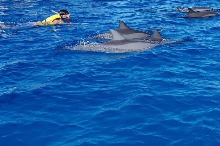 Mauritius Dolphin Watching Cruise: Swim with Dolphins & Snorkel Crystal Rock photo 3