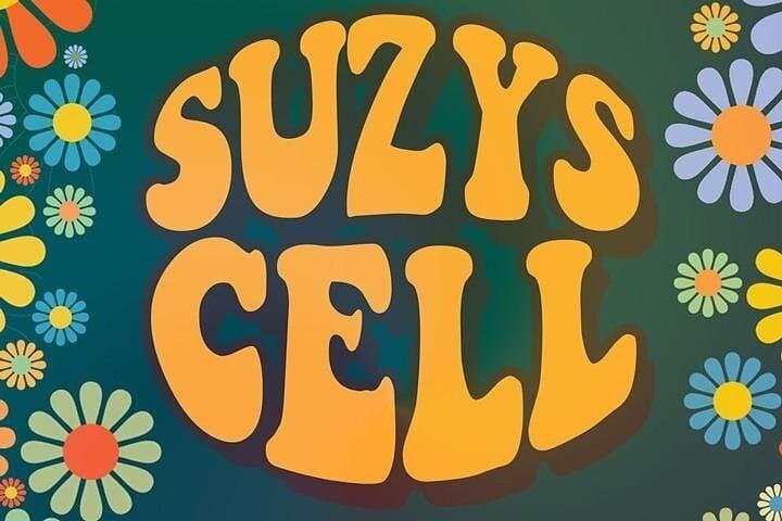 Suzy's Cell Escape Room: 1970s Vegas Prison Puzzle at Tropicana photo 2