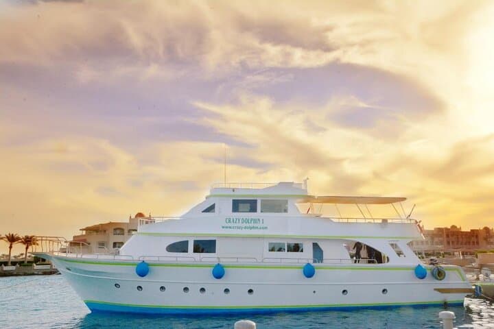 Private Red Sea Day Trip from Hurghada — Dolphin House or Island Snorkel & Dive photo 5