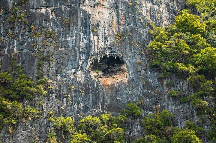 Phi Phi and Khai Islands Speedboat Day Trip from Phuket: Maya Bay, Pileh Cove & Snorkeling photo 6