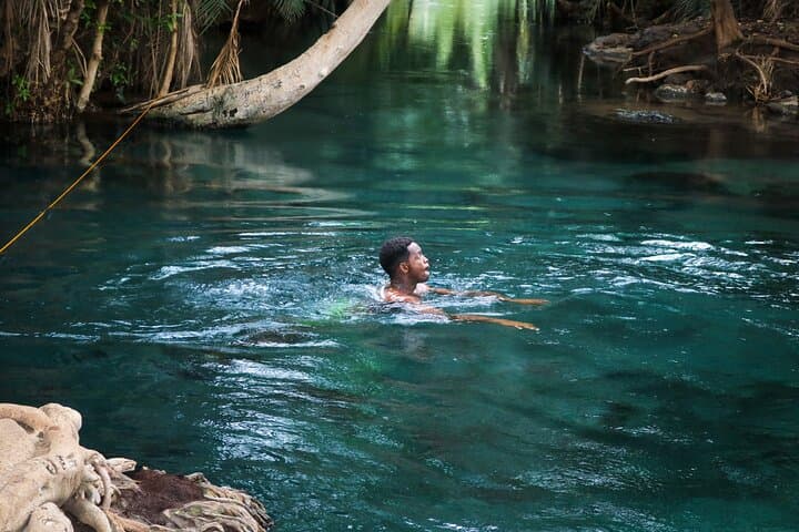 Materuni Waterfalls, Coffee & Kikuletwa Hot Springs — Day Trip from Arusha photo 2