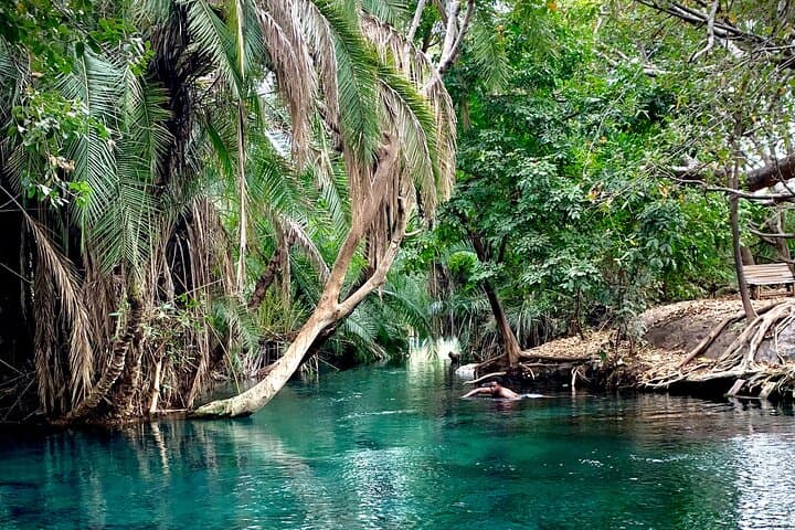 Materuni Waterfalls, Coffee & Kikuletwa Hot Springs — Day Trip from Arusha photo 4