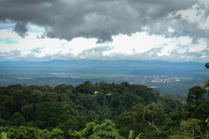 Materuni Waterfalls, Coffee & Kikuletwa Hot Springs — Day Trip from Arusha photo 5